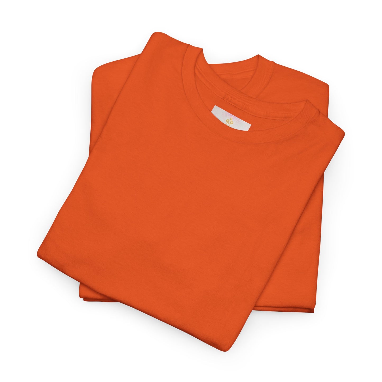 Rooted Strength – Men’s Classic Plain T-Shirt